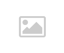 全面解析尊龙Z6的优势与不足：一款不容忽视的游戏平台
