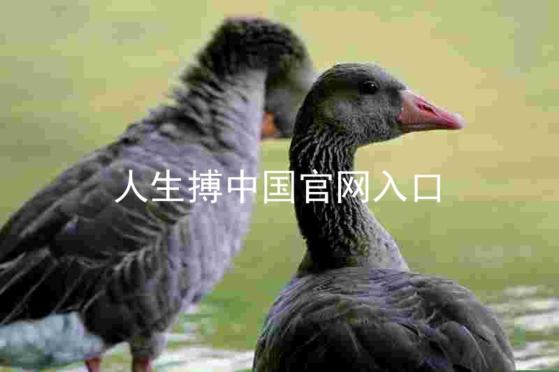 人生搏中国官网入口
