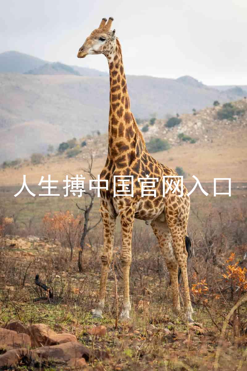 人生搏中国官网入口