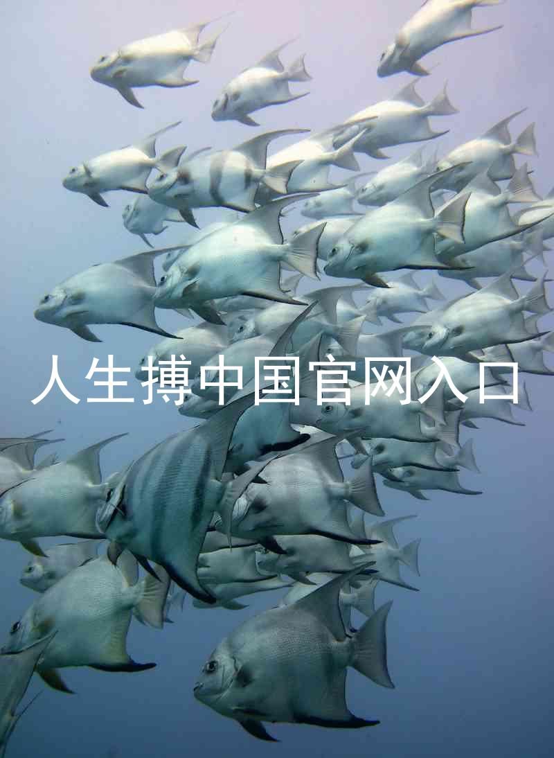 人生搏中国官网入口